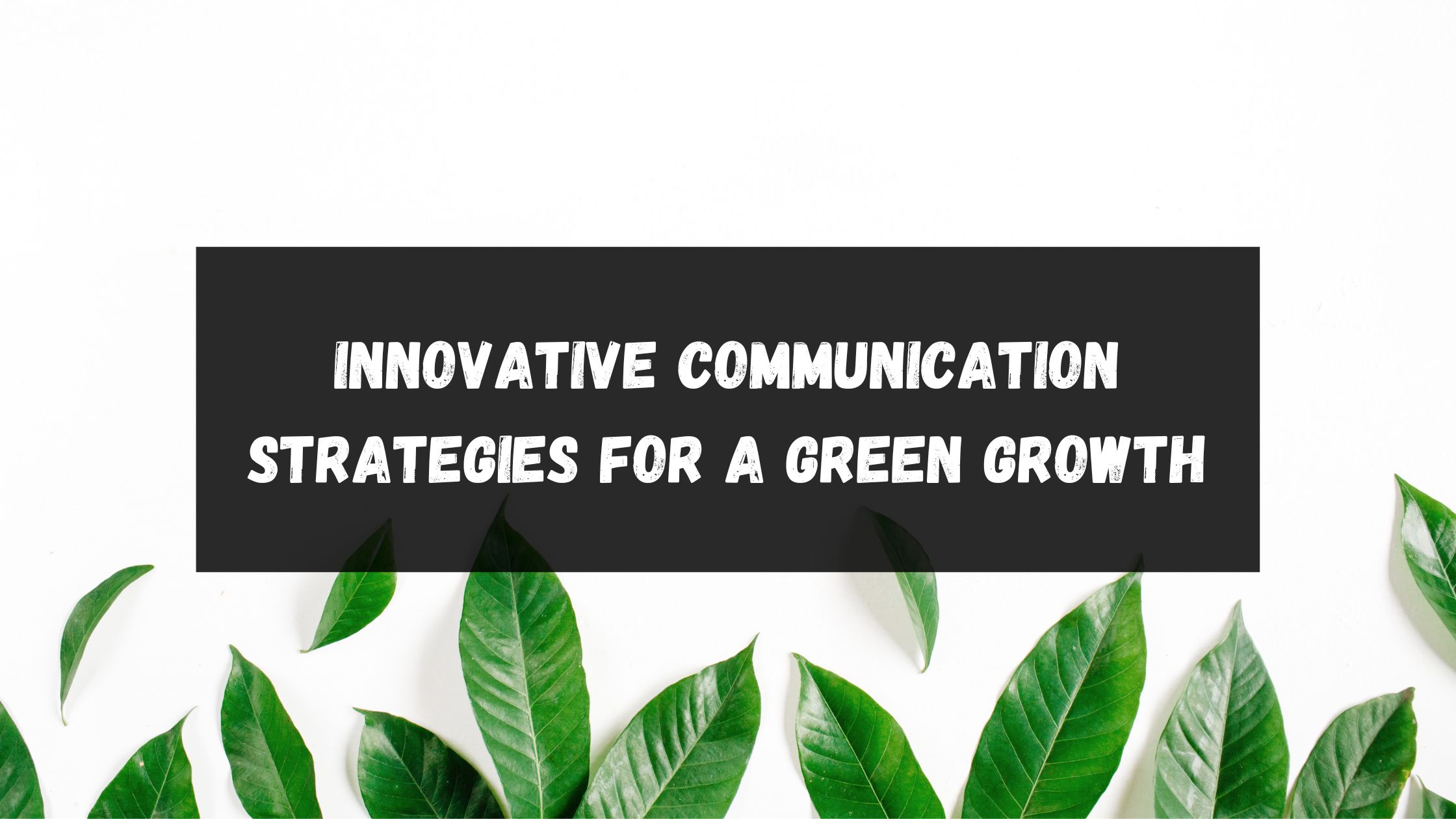 #7 Innovative communication Strategies for a green growth 🌱